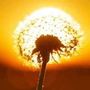 Meet your Posher, Pam